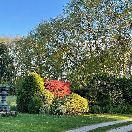Chateau De Thouare Bagian luar foto